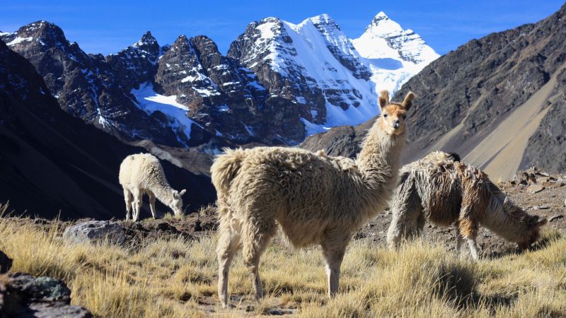 Bolivia's Cordillera Real: Uncrowded Alternative To Inca Trail | CNN