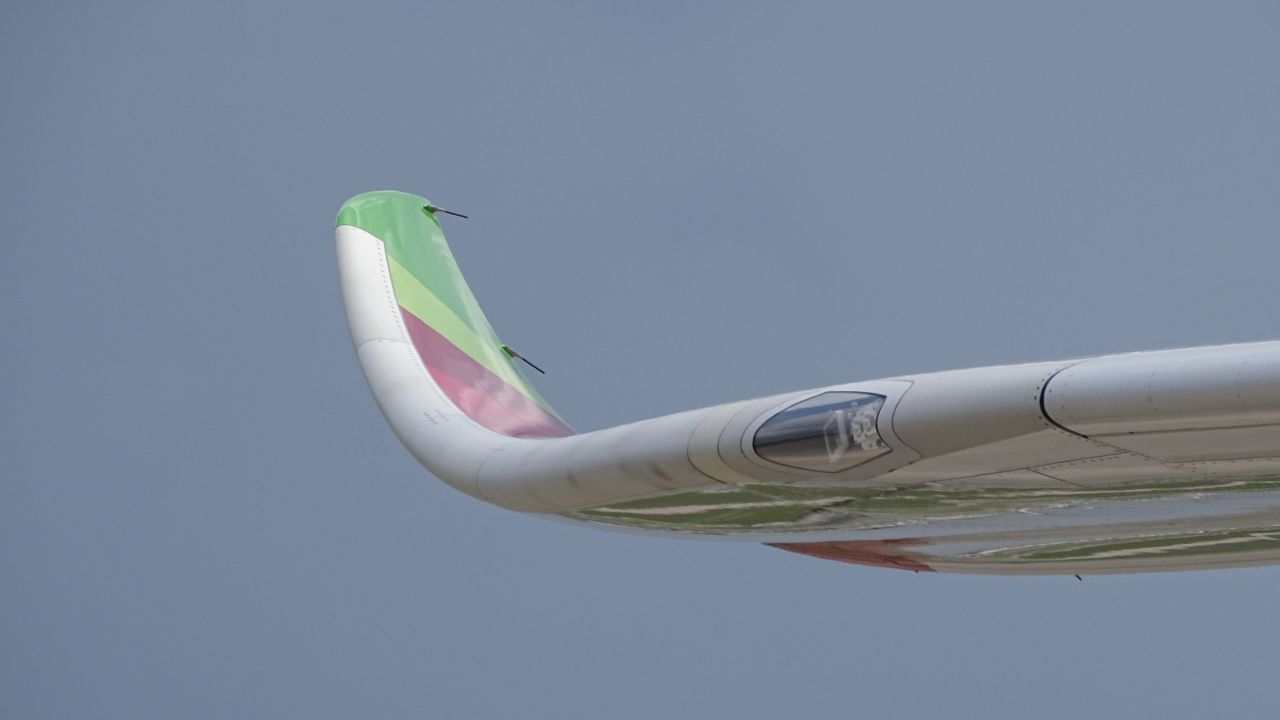 New features on the A330neo include curved wingtips called sharklets that cut wind resistance and save fuel.