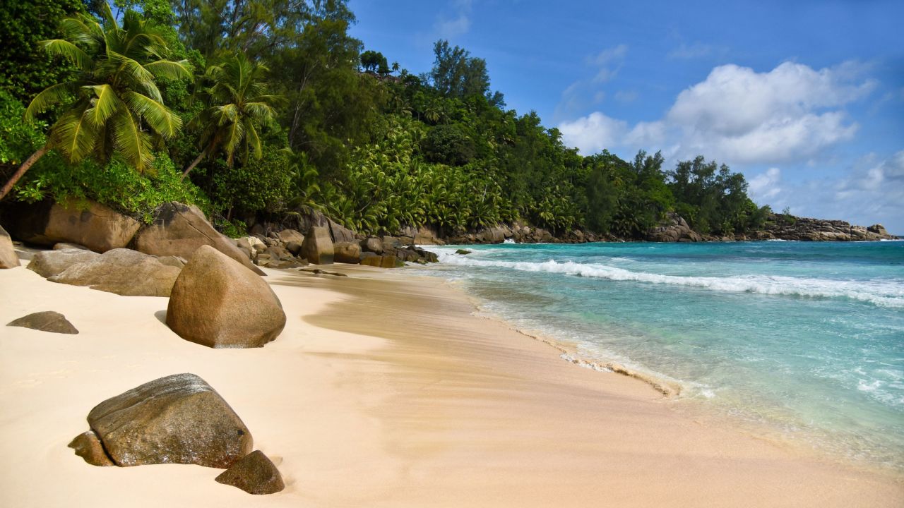 Anse Intendance has stunning palm trees and boulders.