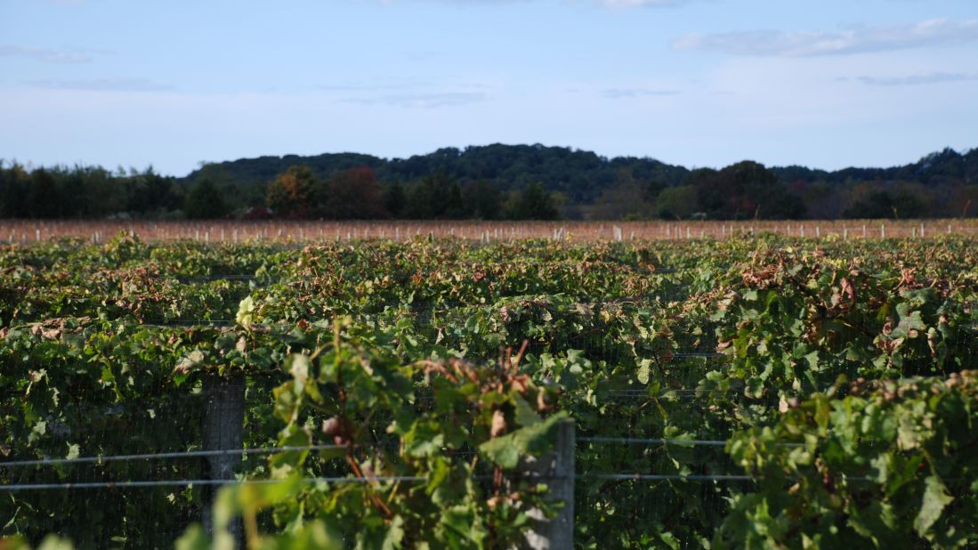 <strong>North Fork, Long Island: </strong>You could fight the crowds and traffic on your way to The Hamptons, but for a more relaxed (not to mention affordable) sojourn outside of New York City, there's this gem. Wine tasting is one of the area's best activities, and once you've had your fill at the likes of Paumanok or Shinn Estate Vineyards, prepare to be delighted by the many culinary delights on offer.