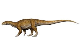 The Ingentia prima lived during the Late Triassic period and weighed about 10 tons.