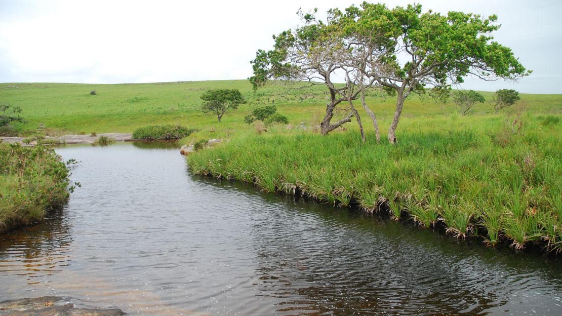 There's a lot of great wildlife to see in the Mkambati Nature Reserve.