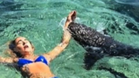 NS Slug: FL: SHARK BITES MODEL DURING PHOTOS Synopsis: Shark bites University of Miami student in Bahamas Keywords: SHARK MODEL BAHAMAS PHOTO SWIMMING ANIMALS OCEAN