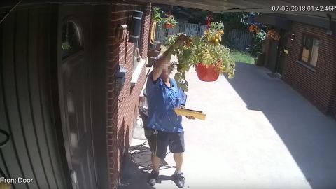 A security camera caught this mailman stealing tomatoes from a Montreal home. 