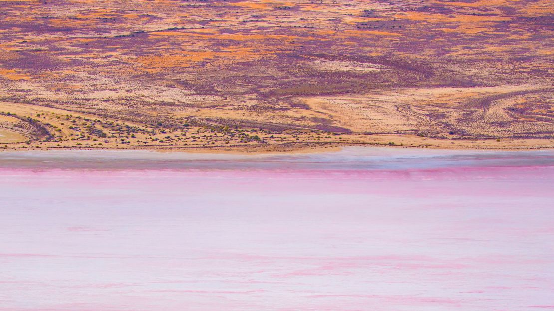 The salt dilutes the water and causes algae to grow, creating the colors in the water.