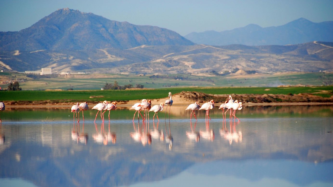 <strong>Larnaca Salt Lake</strong>: Four salt lakes west of the city of Lanarca make up the impressive Larnaca Salt Lake. It's home to waterbirds, including flamingos. 