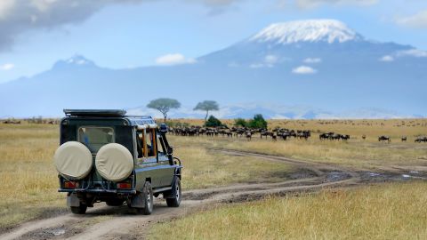 January in Kenya: Tourists on a safari watch wildebeests migrating through the grasslands in the Masai Mara National Reserve.