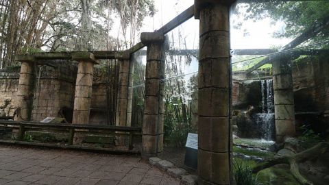 The jaguar exhibit at the Audubon Zoo. 
