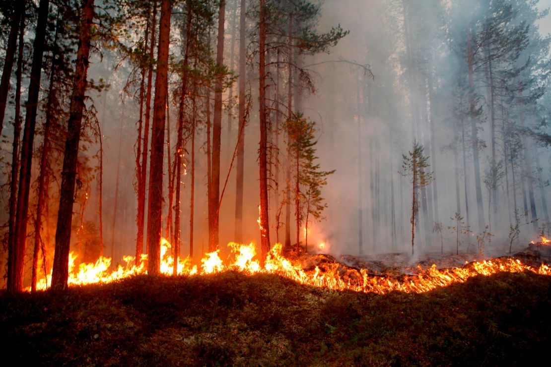 Fire burns in Karbole, Sweden, on July 15.
