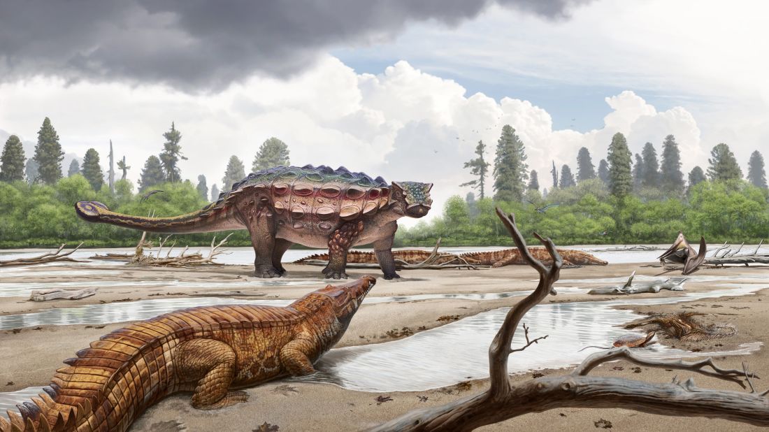 The fossil of the newly discovered armored dinosaur Akainacephalus johnsoni was found in southern Utah.