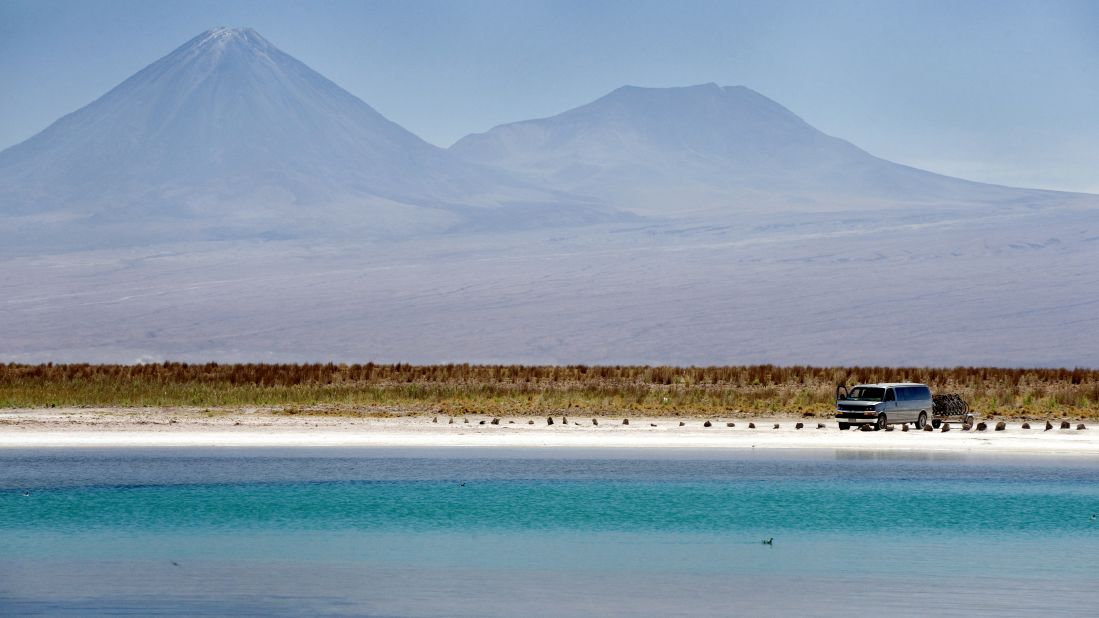 <strong>Rich with life: </strong>The Atacama is home to diverse flora and fauna, despite its harsh climate.
