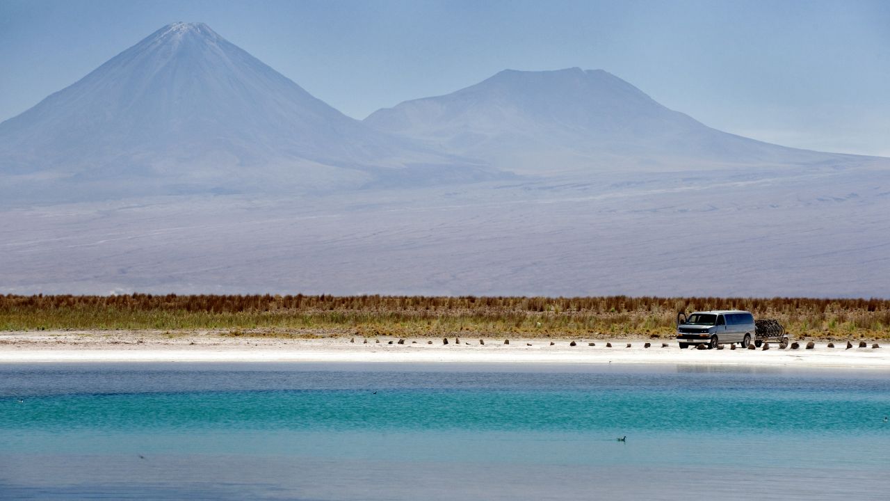The Atacama Desert is home to diverse flora and fauna, despite its harsh climate.