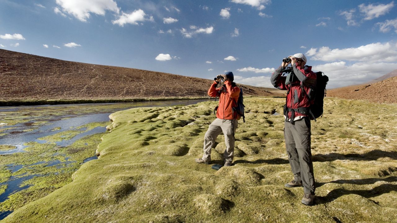 <strong>Challenging conditions:</strong> It is the driest desert in the world outside of the polar regions.
