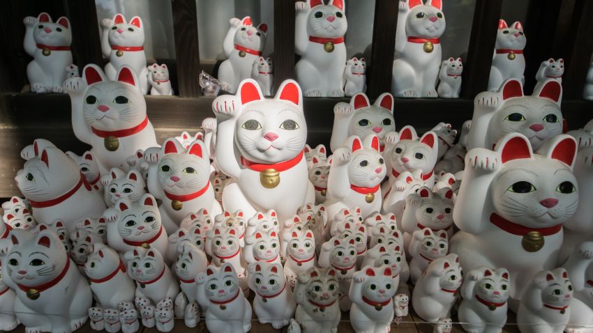 Gotokuji Temple (Tokyo, Japan) cats by Joshua Mellin @joshuamellin jdmellin@gmail.com(11)