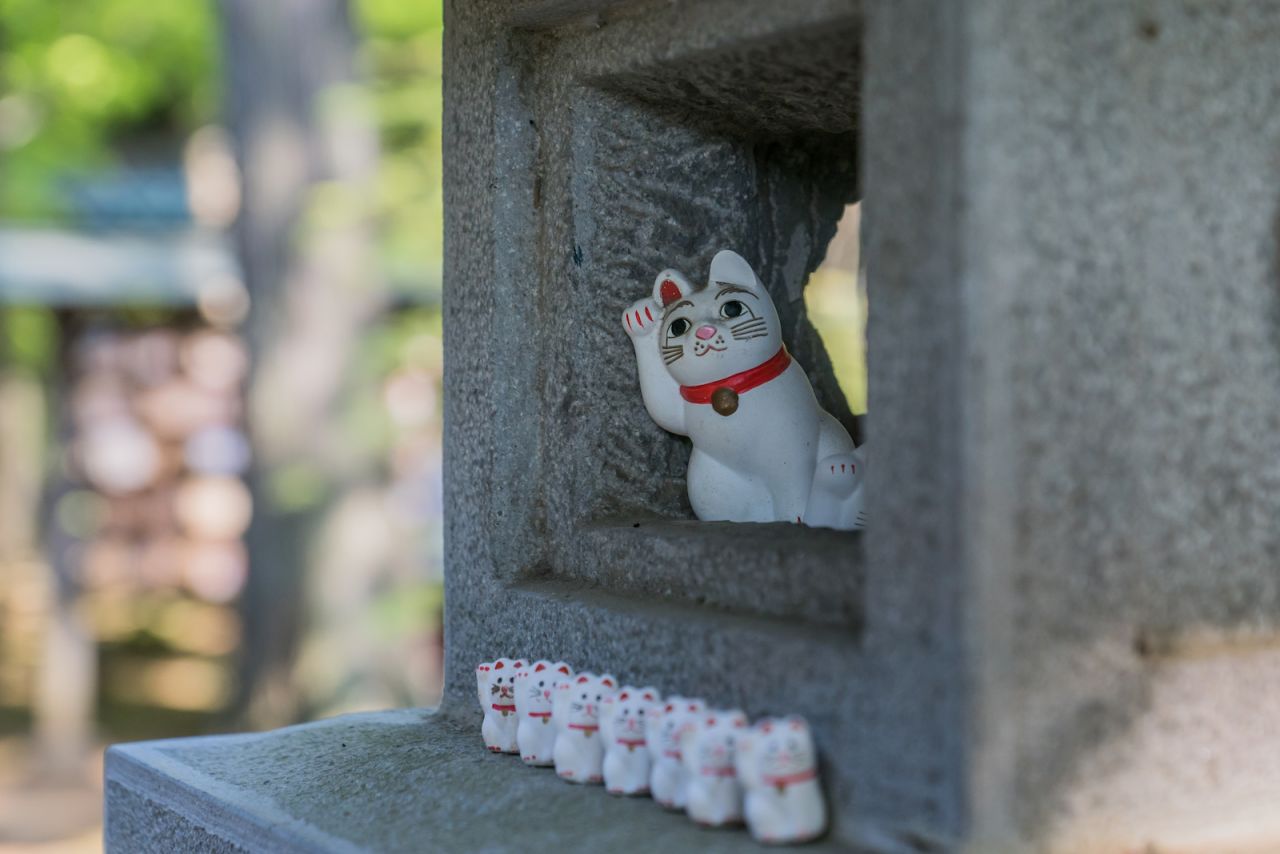 <strong>Kitties everywhere: </strong>There are thousands of the uniform maneki-nekos, crammed into every possible nook and cranny. 