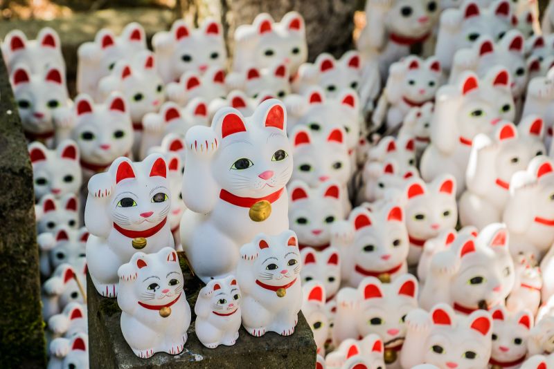 Maneki neko clearance tokyo