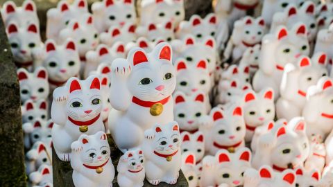 Gotokuji Temple (Tokyo, Japan) cats by Joshua Mellin @joshuamellin jdmellin@gmail.com(7)