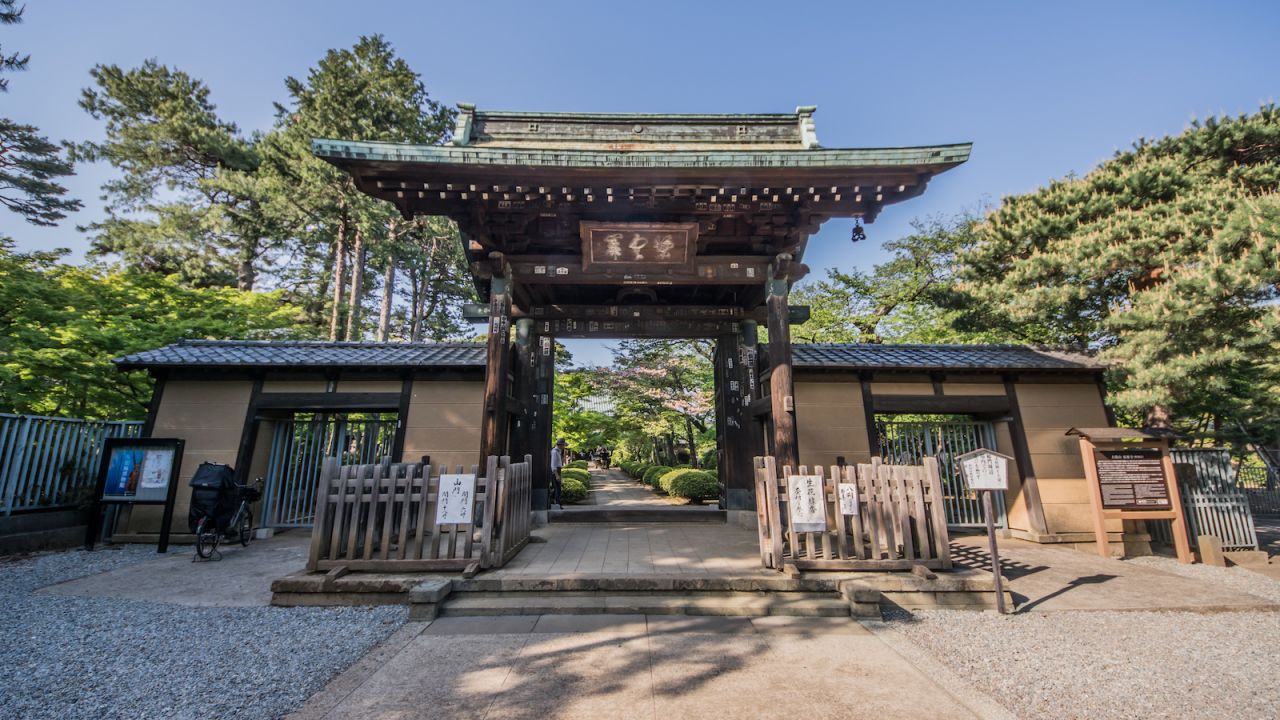 Gotokuji Temple (Tokyo, Japan) cats by Joshua Mellin @joshuamellin jdmellin@gmail.com