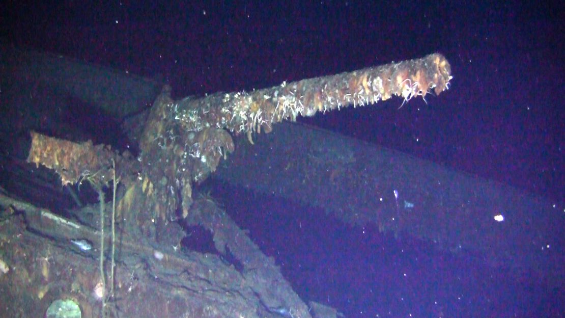 A picture supplied by the Shinil Group shows a cannon on the Donskoii.