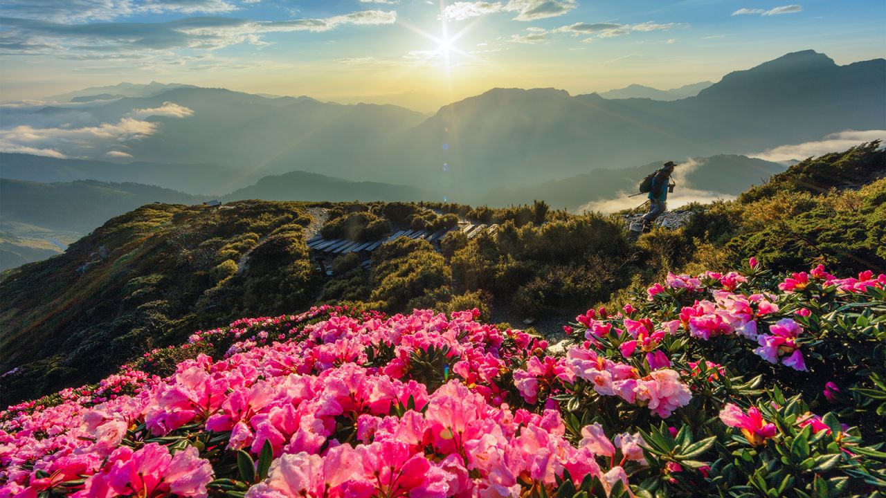 <strong>Hehuanshan, Central Mountain Range: </strong>"Hehuanshan (3,416 meters high) is the most amazing nature in Taiwan, especially in May, when you will see the azalea flowers blossom on the top of mountain," says Theerasak. 