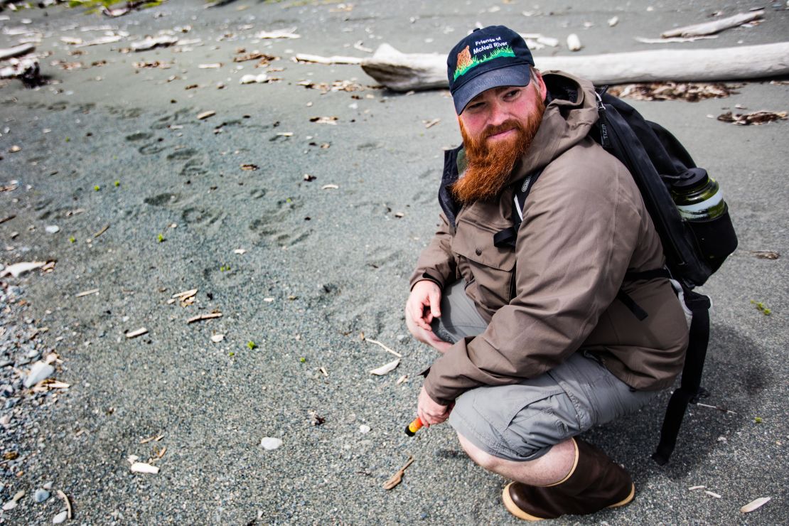 Drew Hamilton, from Friends of McNeil River, finds bear tracks on Amakdedori Beach.