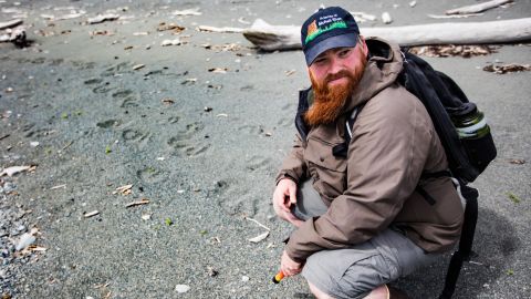 Drew Hamilton, from Friends of McNeil River, finds bear tracks on Amakdedori Beach.