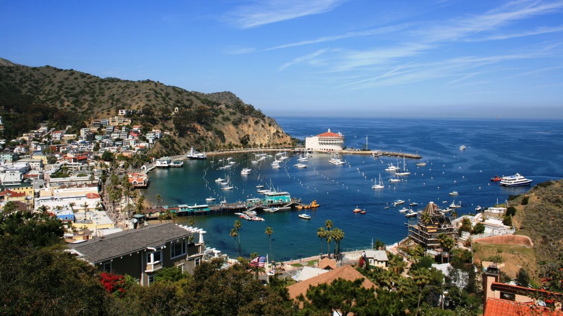 Avalon, on Catalina Island, seen from above