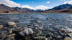 The Arctic National Wildlife Refuge teems with life -- from birds to fish to mammals.