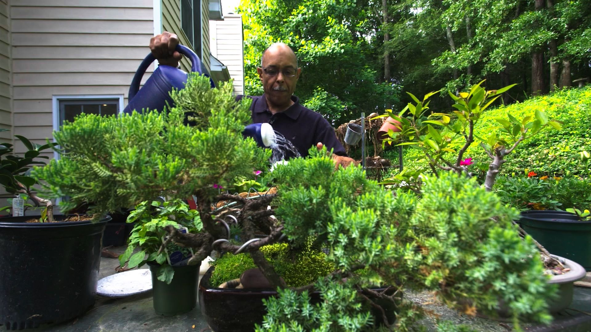 Tony Wright tends his garden every day, inspired by his own horticultural therapy. 