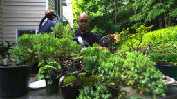 Tony Wright tends his garden every day, two years after receiving horticultural therapy. 