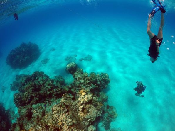 Freediving without a tank is something the family has become adept at, as shown by this photo taken at a coral reef in the Bahamas. 