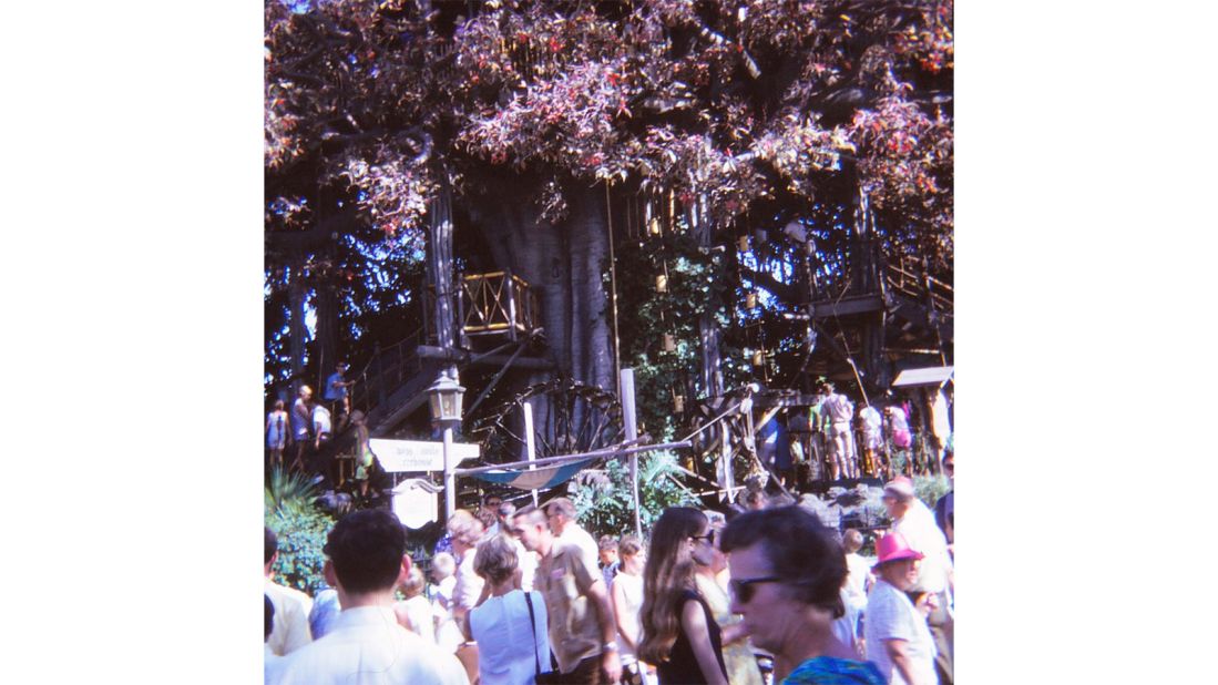 <strong>Treehouse delights: </strong>Another highlight for Syverson was The Swiss Family Robinson Tree House, pictured. It no longer exists at Disneyland in California as it  morphed into Tarzan's Treehouse in the '90s.