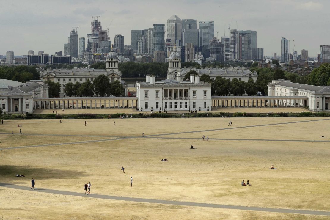 A view shows parched grass from the lack of rain in Greenwich Park during what has been the driest summer for many years in London.
