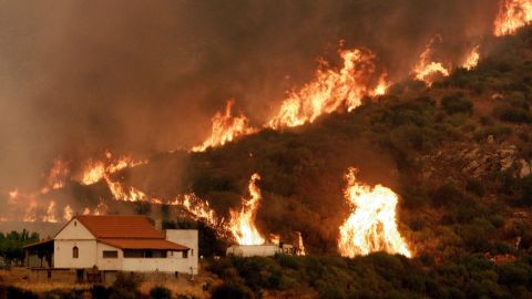 Fires across Greece caused dozens of deaths in 2007. Demetres Karavellas says that few lessons were learned from that disaster.