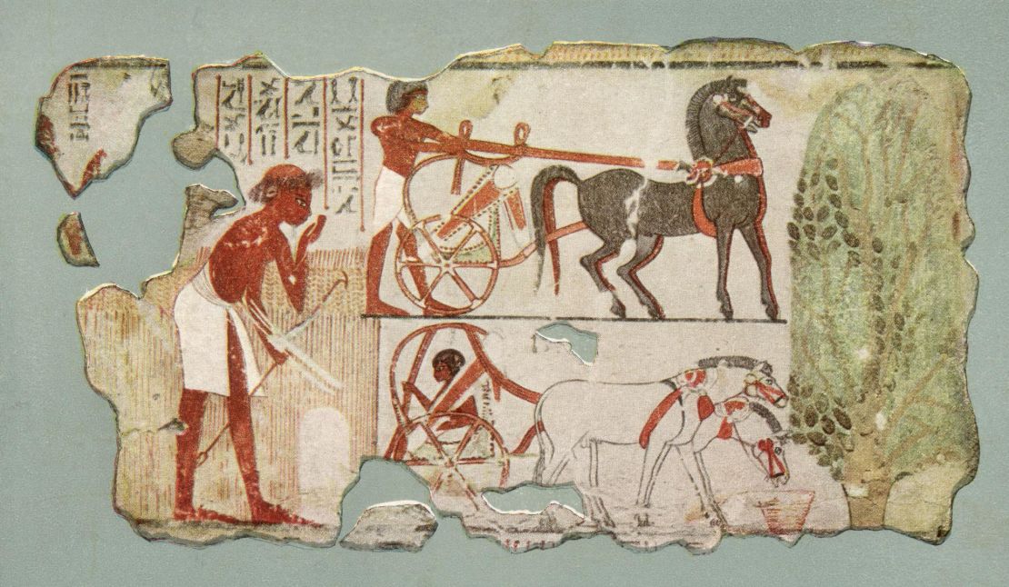 An 18th dynasty wall painting from the tomb of Nebamun in Thebes shows an Egyptian charioteer wearing a   loincloth.
