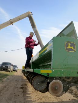 Texas farmer Russell Boening is storing his grain sorghum instead of shipping it to China because prices have plummeted.