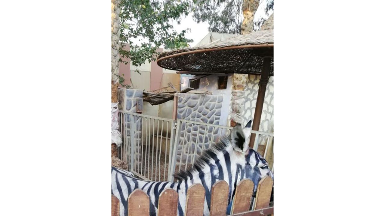 Sarhan shared this image from his trip on July 21.