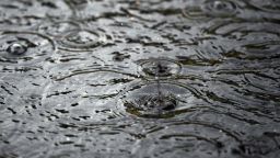 dpatop - 5 July 2018, Dortmund, Germany: Rain drops fall down on the surface of a puddle. Photo: Ina Fassbender/dpa (Photo by Ina Fassbender/picture alliance via Getty Images)
