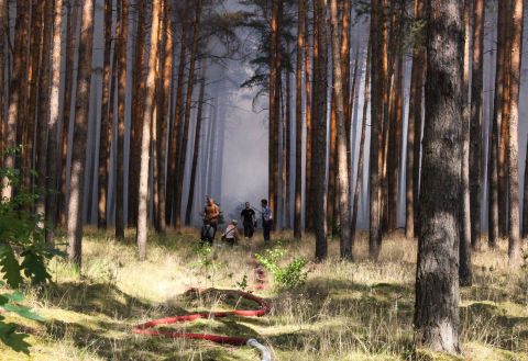 Firefighters tackle a forest fire near Potsdam, Germany, on Thursday, July 26.