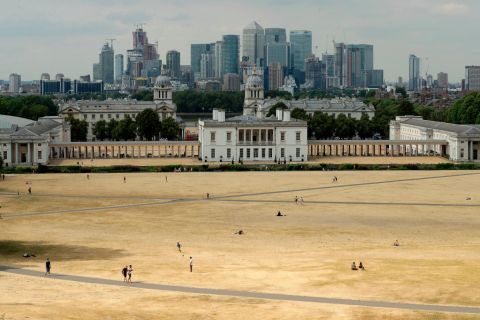 A view shows parched grass in London's Greenwich Park on Tuesday, July 24.
