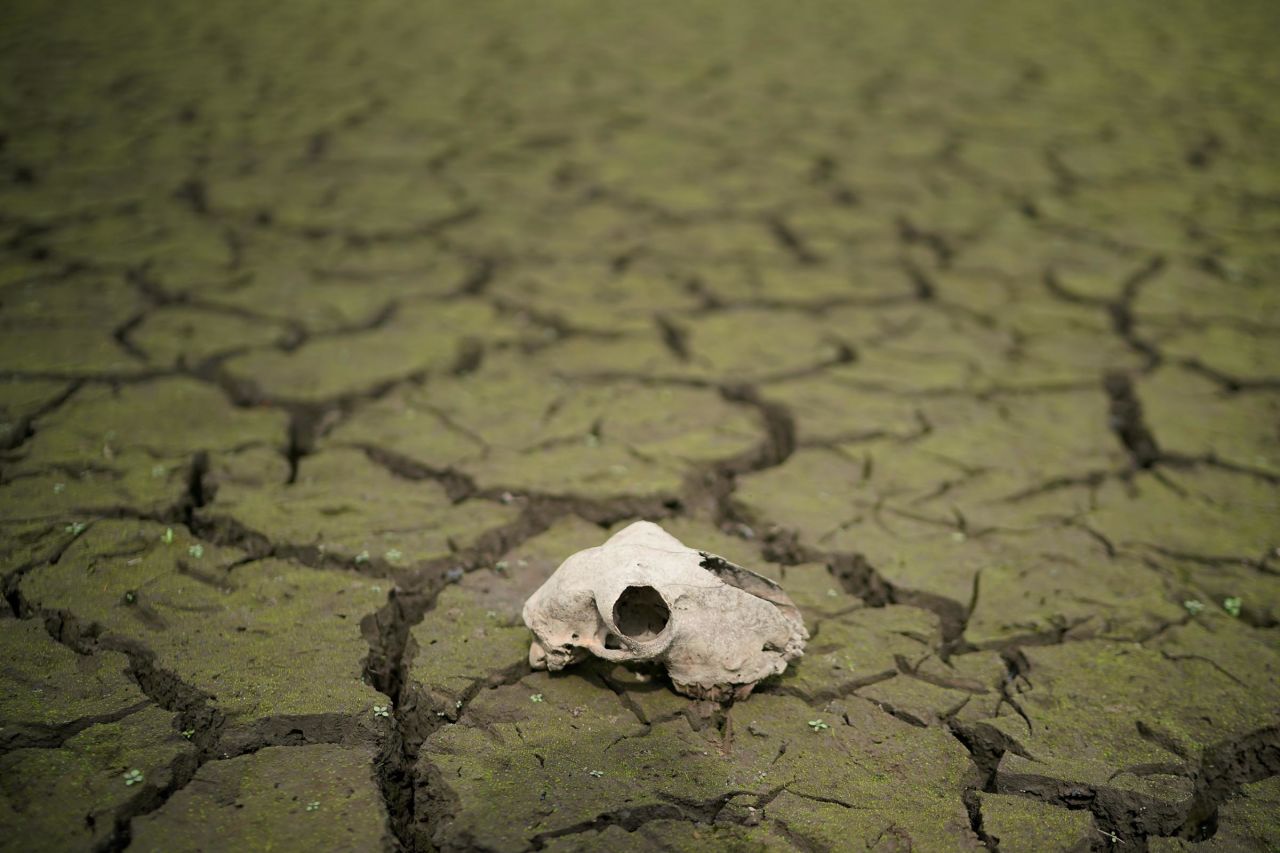 The dried-up bed of the Wayoh Reservoir is seen near Bolton, England, on Monday, July 23.
