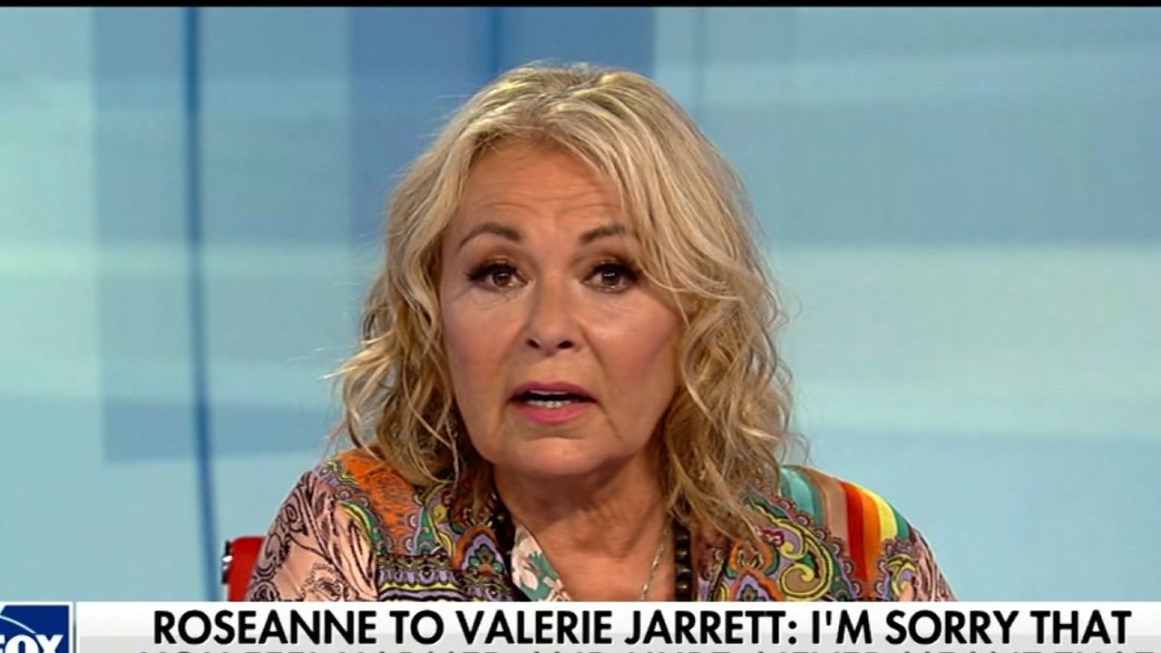 roseanne on hannity orig acl_00001330