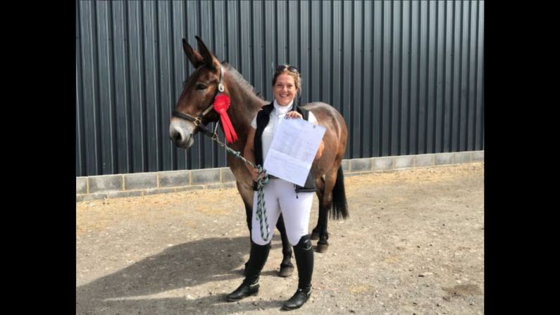 Wallace, a half-donkey, half-horse,  won his first official dressage competition in Hardwicke, with rider Christie McLean on Sunday, July 22. 
