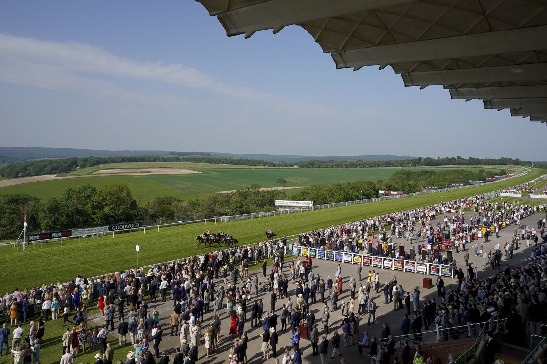 A general view as runners approach the finish at Goodwood Racecourse.