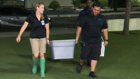 Staff members bring the stolen shark back to the San Antonio aqarium.