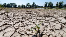 The partly dried out bed of the river Danube is pictured in Mariaposching, southern Germany, on August 1, 2018. - Inland waterway transport in the region was limited due to the ongoing heat wave and drought. (Photo by Armin Weigel / dpa / AFP) / Germany OUT        (Photo credit should read ARMIN WEIGEL/AFP/Getty Images)