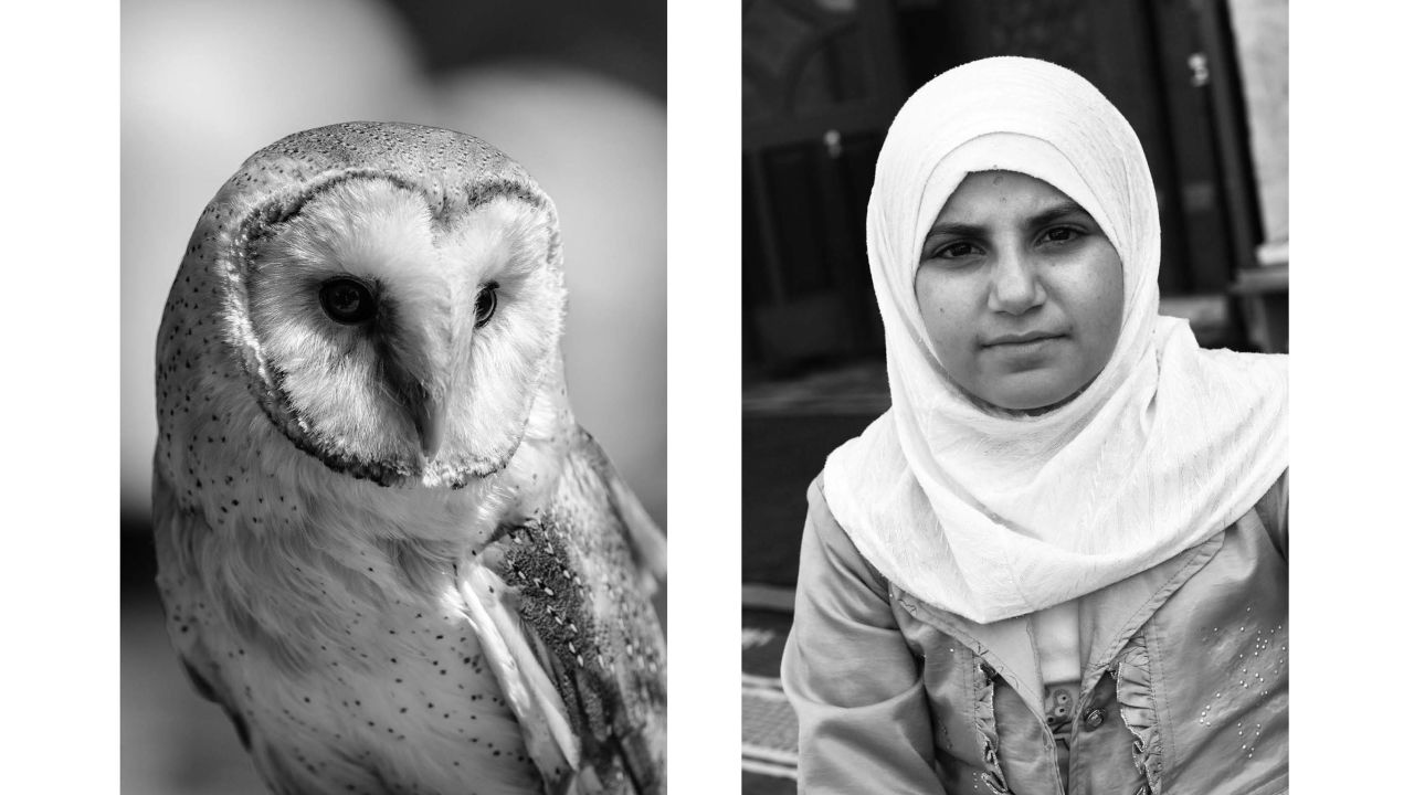 Our first impression of this pairing, Aëgerter said, is probably based on how our brains subconsciously assess the similarities between the two: the black-and-white balance and the roundness of both the snowy owl on the left and the woman wearing a headscarf on the right. From there, our reactions may vary because of our backgrounds and cultures. Some may connote wisdom to the owl or nobility or dignity to the woman, which gives the pairing great interpretive flexibility, Aëgerter said.
"But I must be honest, I don't make these pieces based on thinking," she said. "All these choices are based on intuition. They are almost on the reflex level." 
