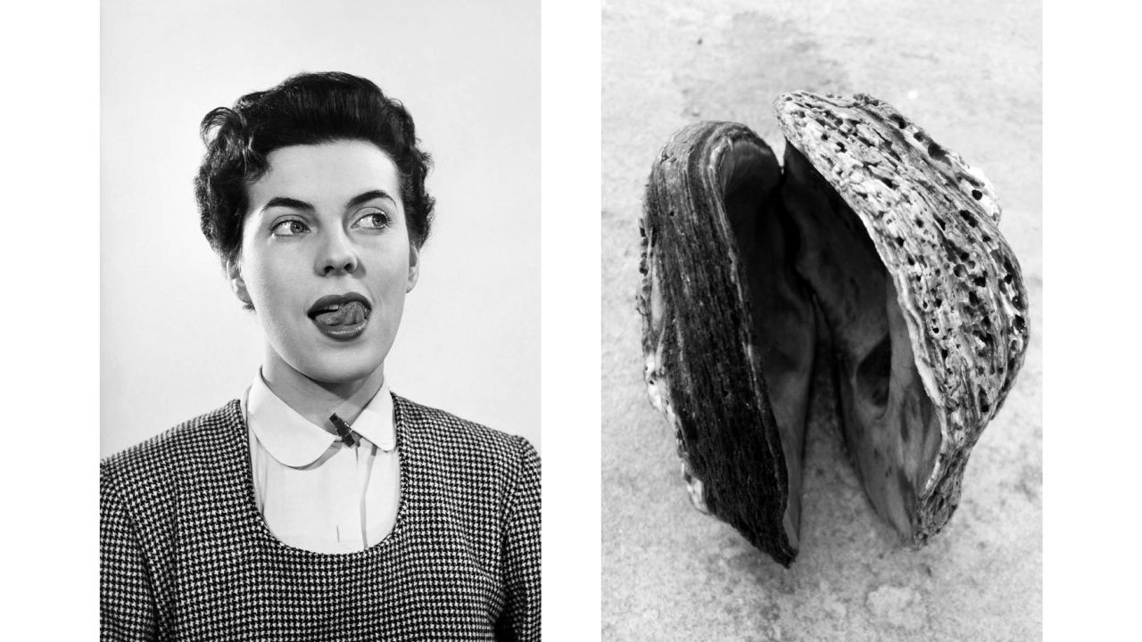 Both images evoke eroticism through their connotations, not explicitly. Another way to relate the images is through their interaction: Aëgerter wondered out loud what would happen if the woman on the left were to stick her tongue into the oyster shell on the right. "I always thought that if she put her tongue in the shell, it would clap on her tongue," she said, laughing.
