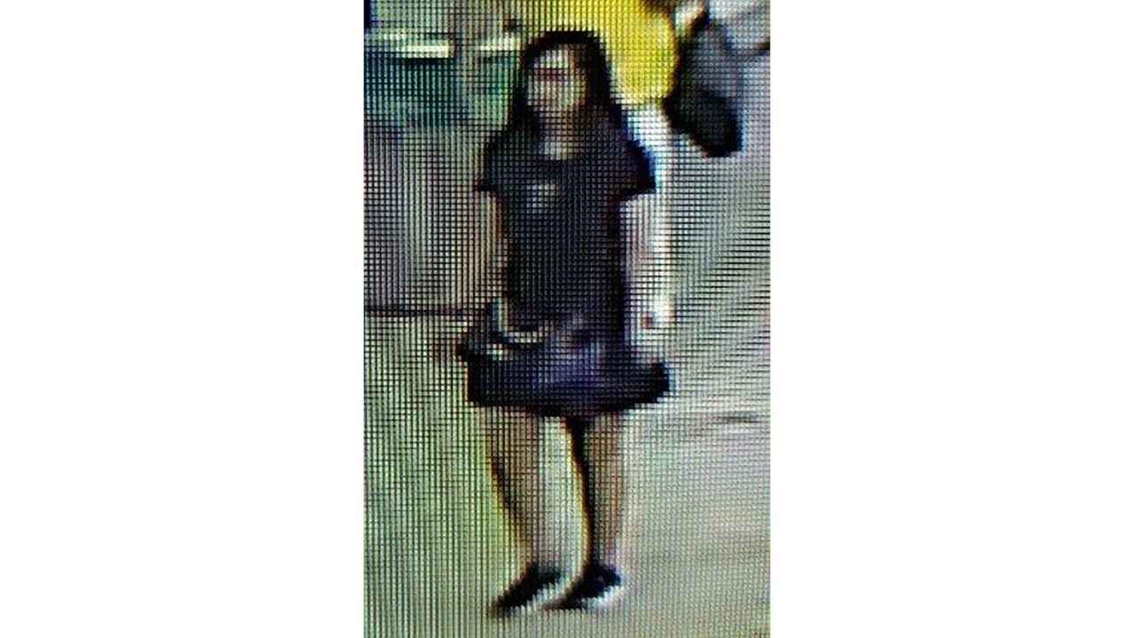 An AMBER Alert was issued for Ma Jingjing, from China, shown at Ronald Reagan National Airport in Washington, DC, shortedly before she was reporting missing.