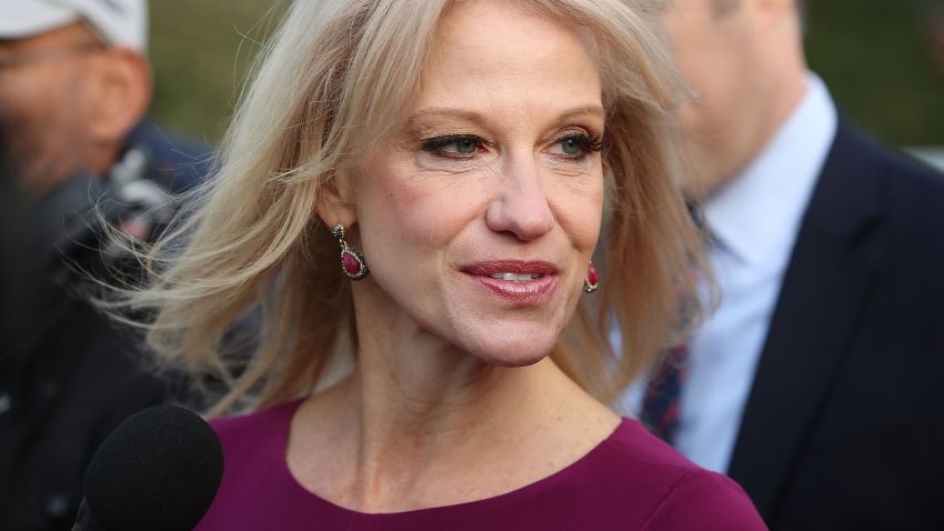 White House Counselor Kellyanne Conway speaks to reporters on the White House driveway after doing a television interview, on April 13, 2018 in Washington, DC.  (Mark Wilson/Getty Images)